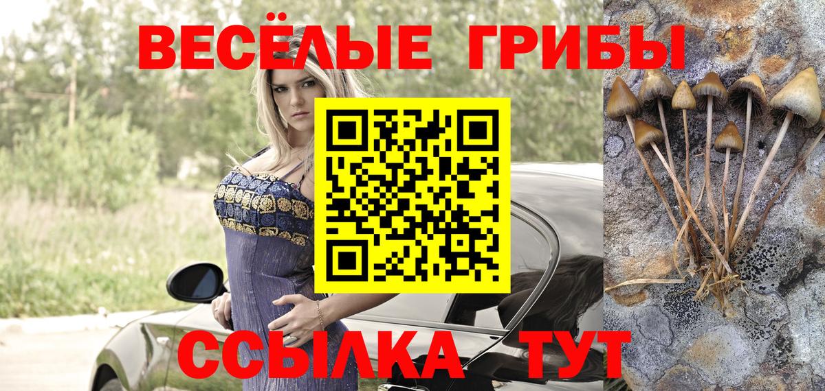 Реж  Галлюциногенные грибы Psilocybe  цены   Вход с VPN  Псилоцибиновые грибы ЛСД 